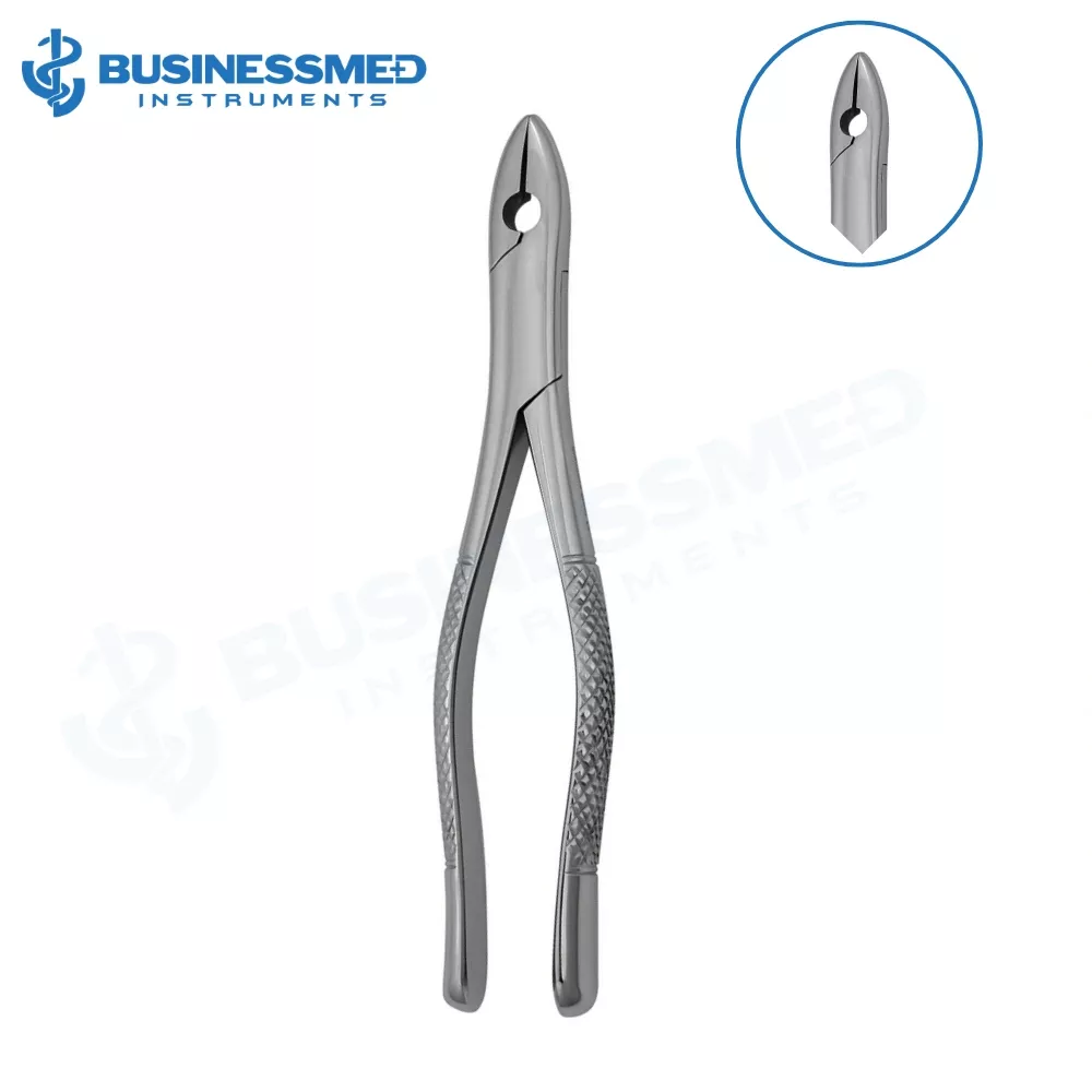 1 Extraction Forceps