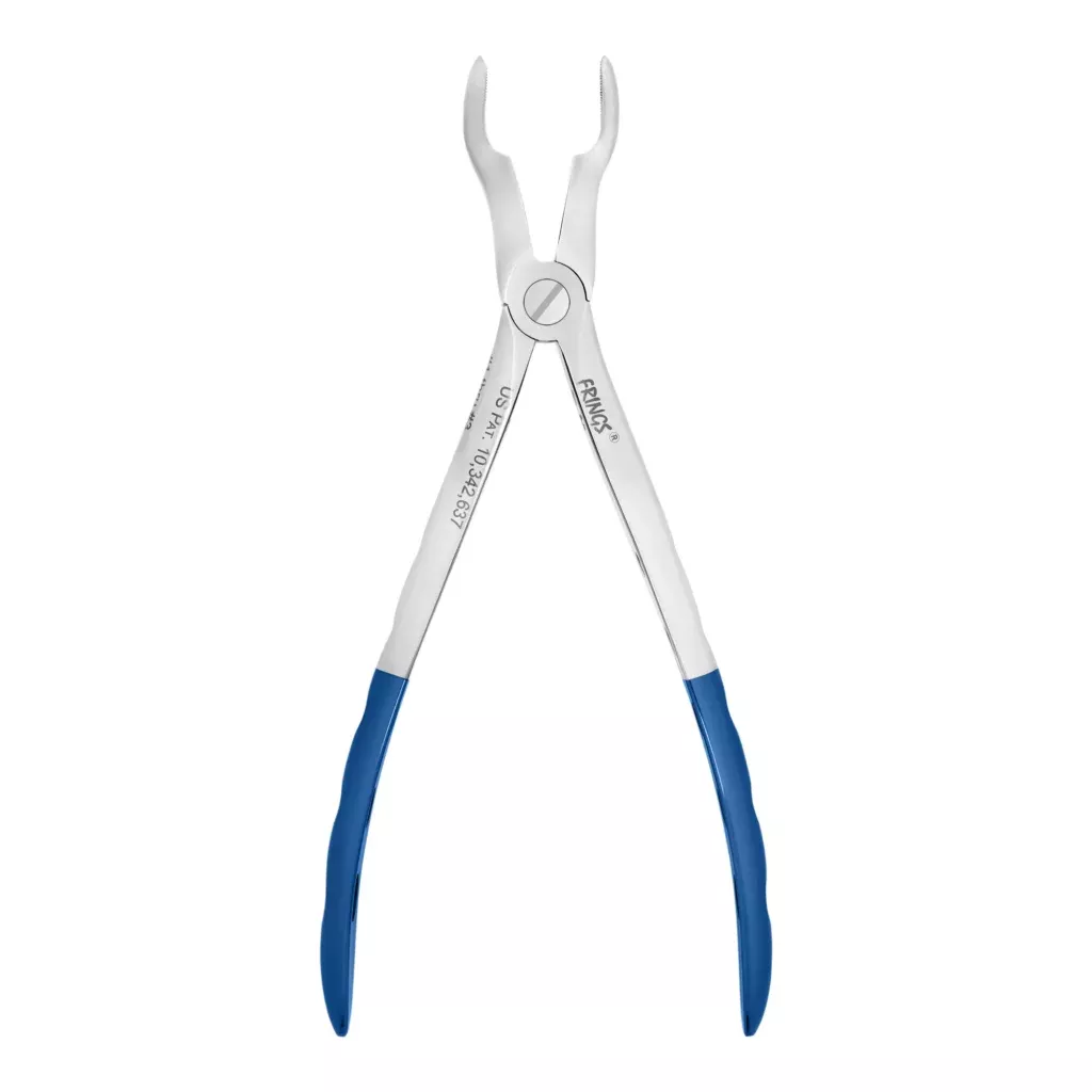 #67 FRINGS, Upper Molars