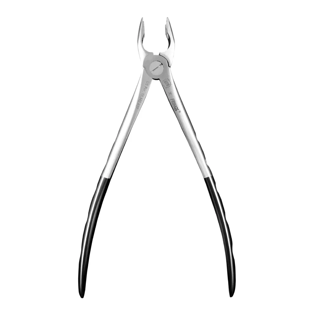 BTG #150 FRINGS, Upper Anteriors