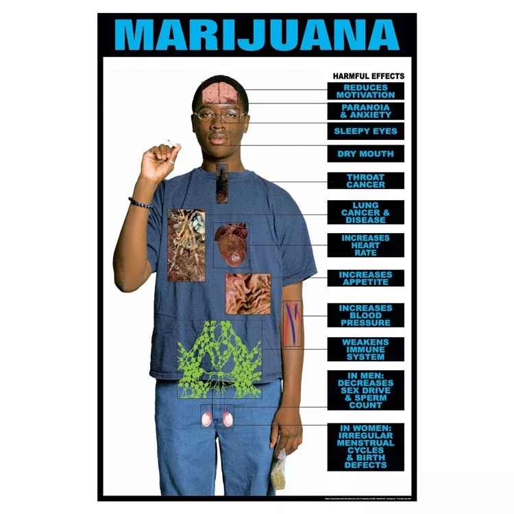 Drug Awareness Poster Collection: Marijuana