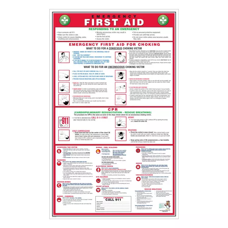 Emergency First Aid Poster