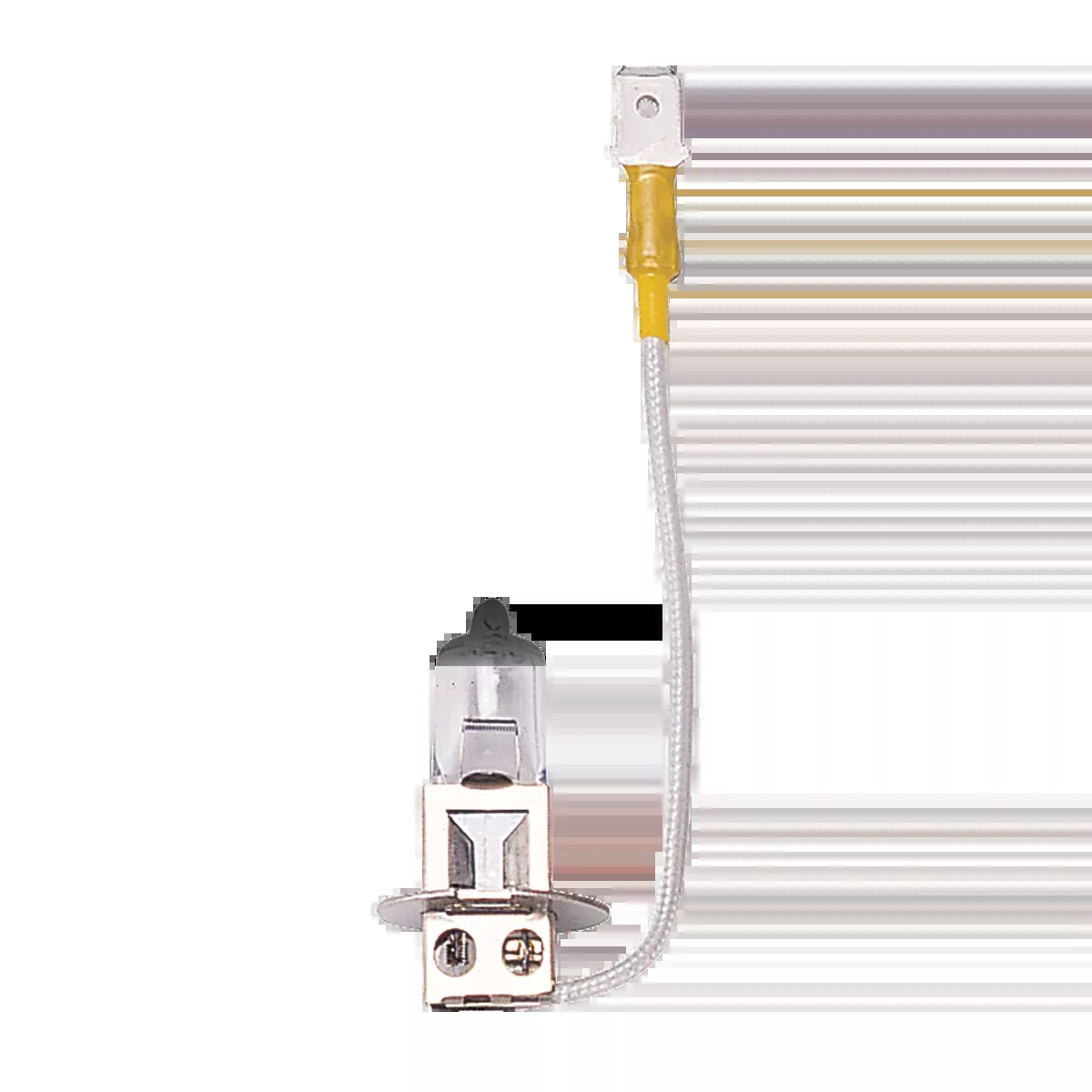 Exam & Operating Bulb (24V 60W)